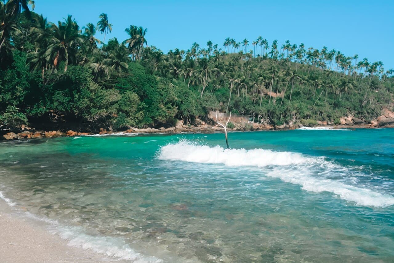 Southern Coast Escape photo 3
