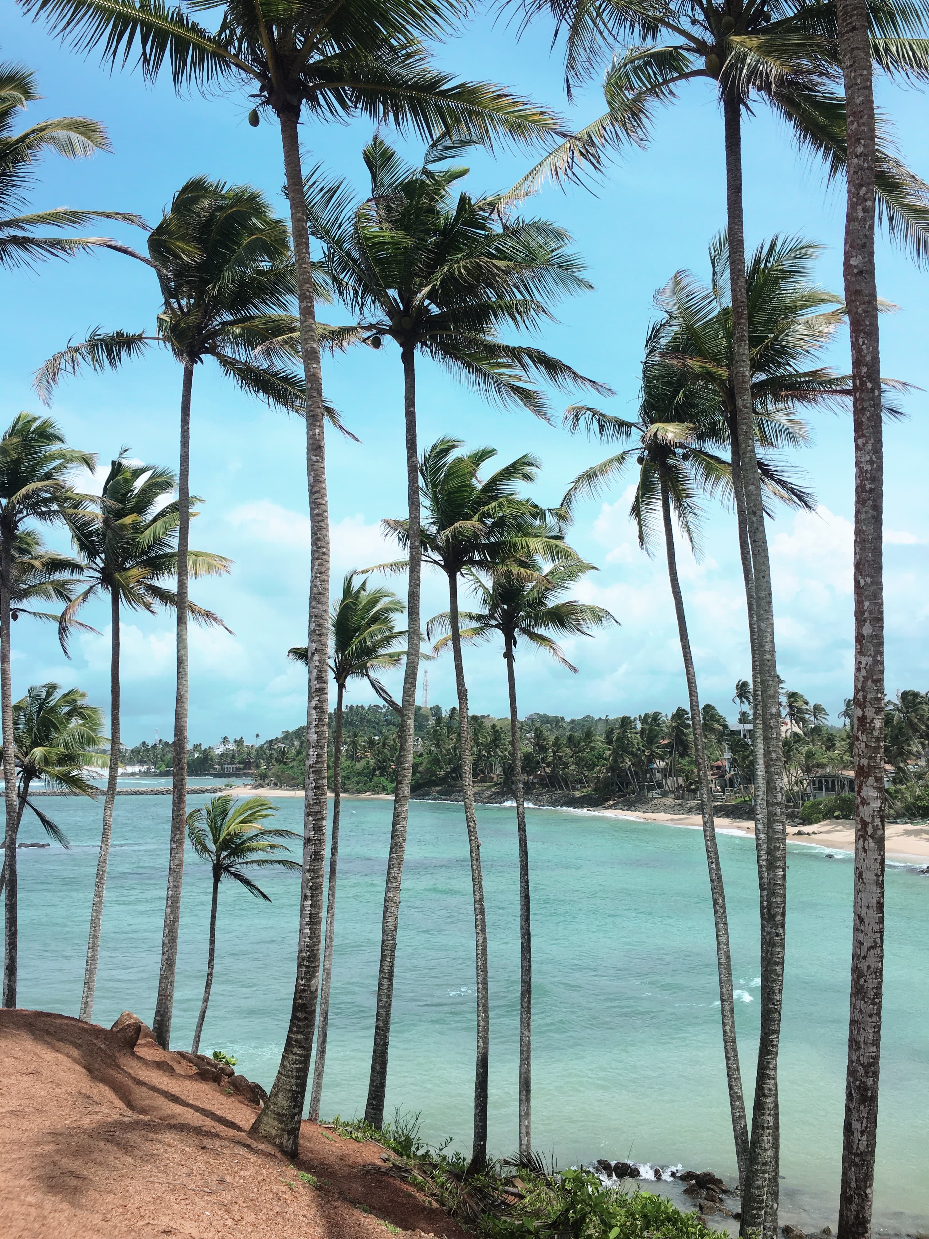 Complete Sri Lanka photo 4